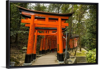 The Endless Red Gates of Kyoto's Fushimi Inari Shrine, Kyoto, Japan