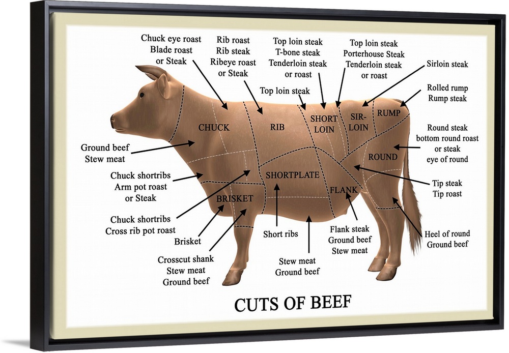 Cuts of beef. Computer artwork illustrating primal and subprimal cuts of beef and their names. Primal cuts (shown with bla...