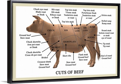Cuts of beef