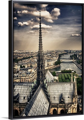 Atop the Notre Dame Cathedral, Paris, France