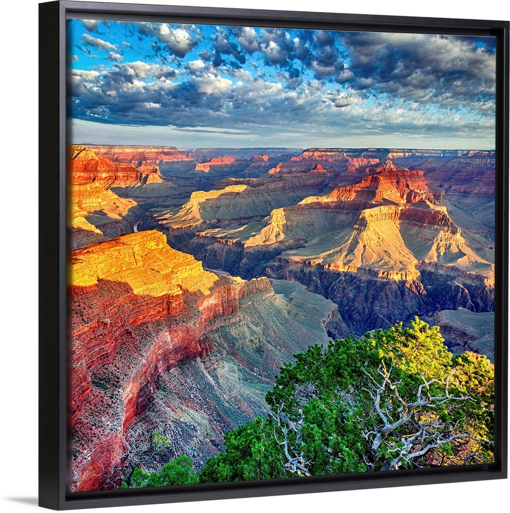 Morning Light At Grand Canyon