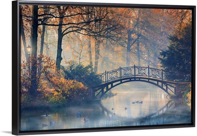 Old bridge in misty park at autumn