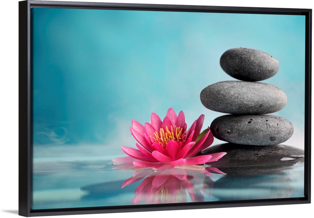 Spa still life with water lily and zen stone in a serenity pool.