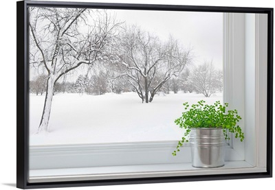 Winter Landscape Seen Through The Window With A Green Plant
