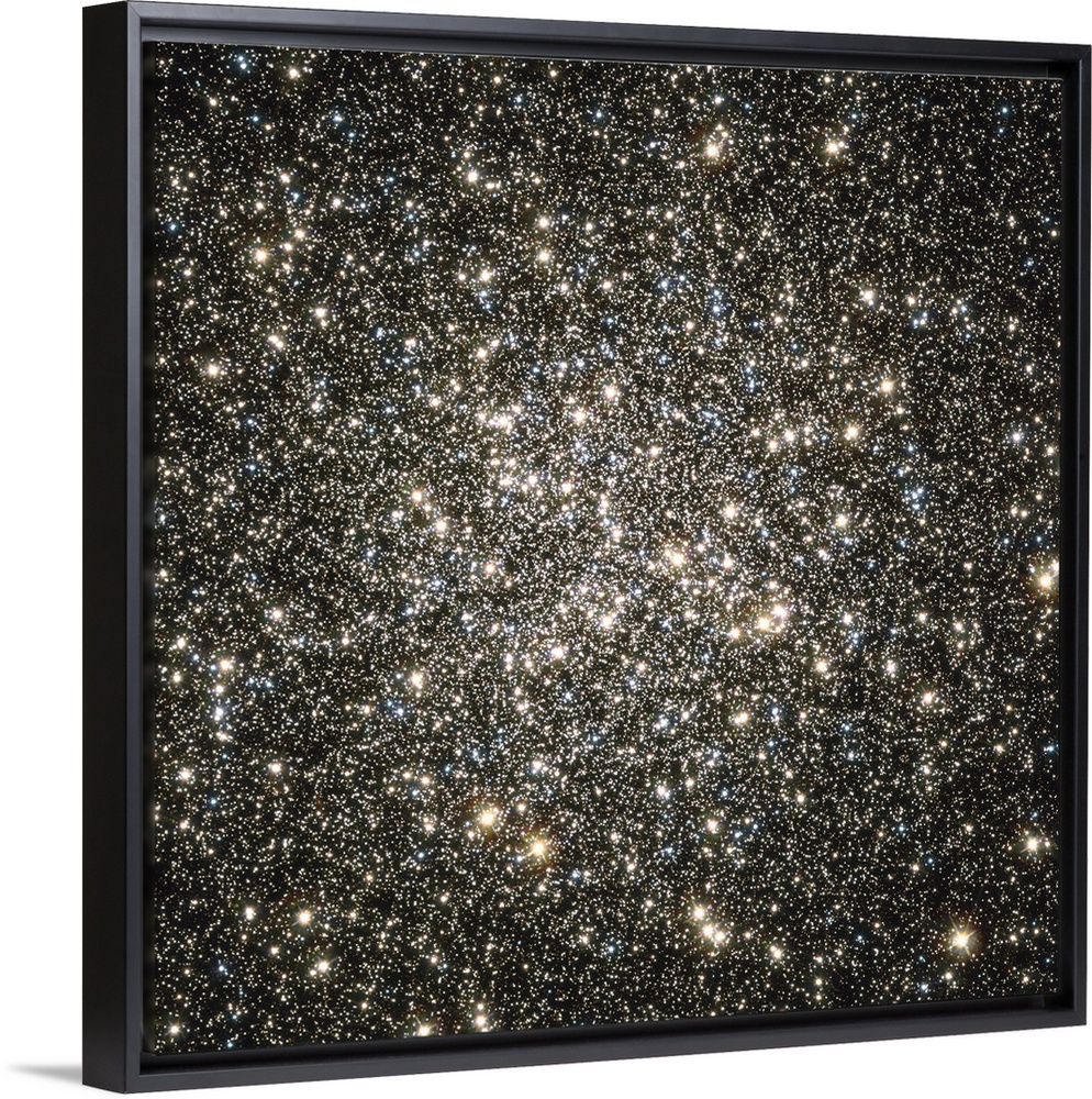 Square, oversized wall picture of packed together stars in Globular cluster M13, the blackness of space barely showing thr...