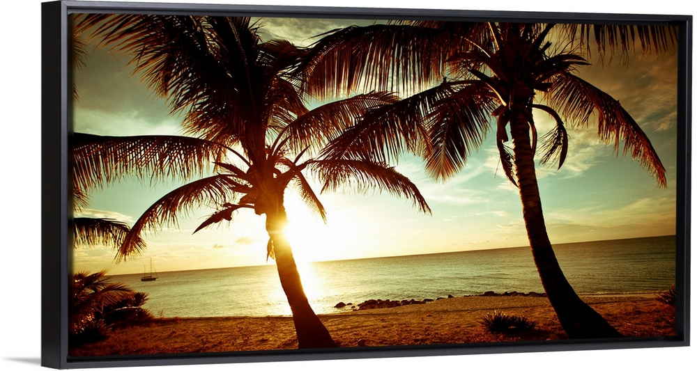 Panoramic photograph of beach in the Bahamas at dusk with huge palm tress in the foreground.   The sky is cloudy and the s...