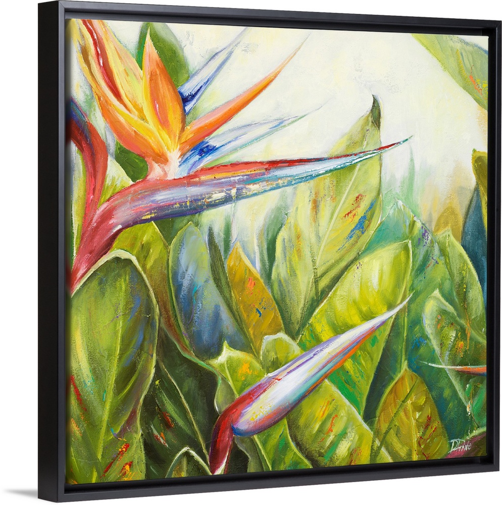 Square, giant floral painting of two bird of paradise flowers, one bloomed, amongst a large bunch of big green leaves exte...