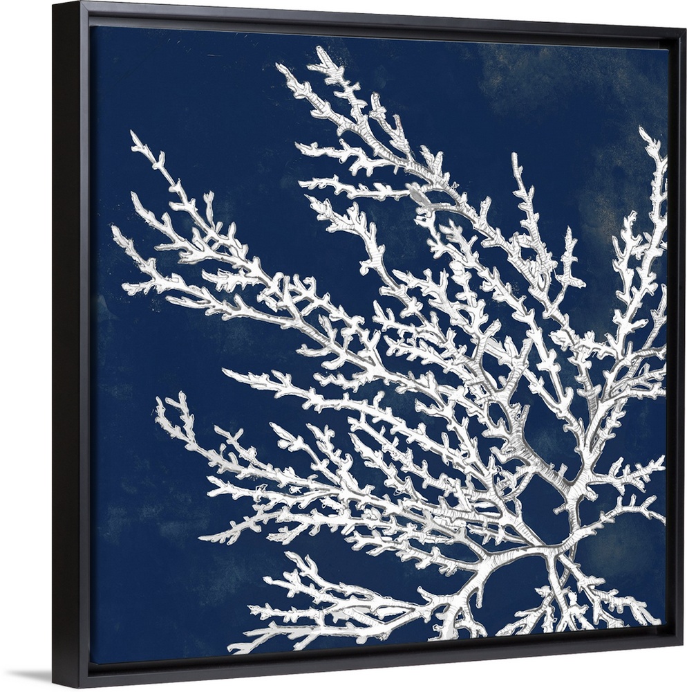 A drawing of coral over a dark ink washes in this square decorative wall art.