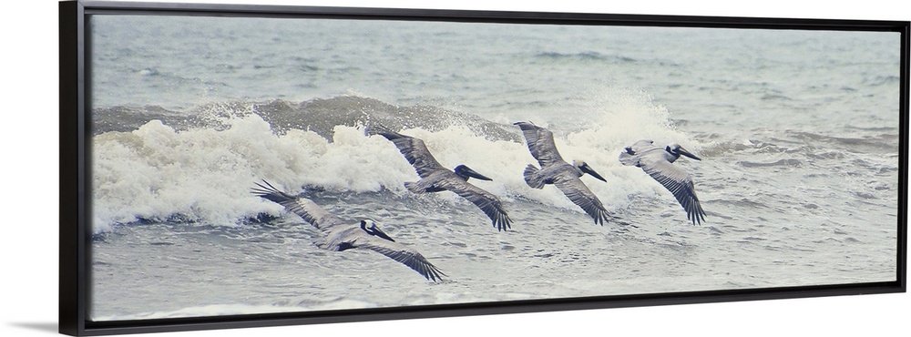 A photograph of four pelicans flying in a line over ocean waves.