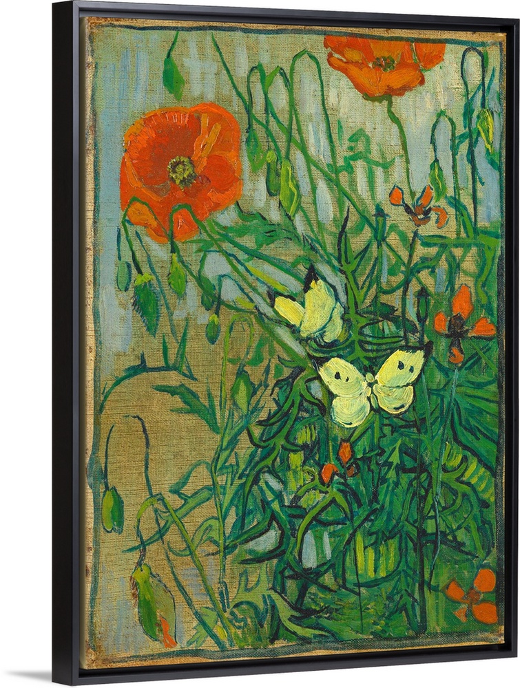 Van Gogh, Poppies, 1890. 'Poppies And Butterflies.' Oil On Canvas, Vincent Van Gogh, 1890.