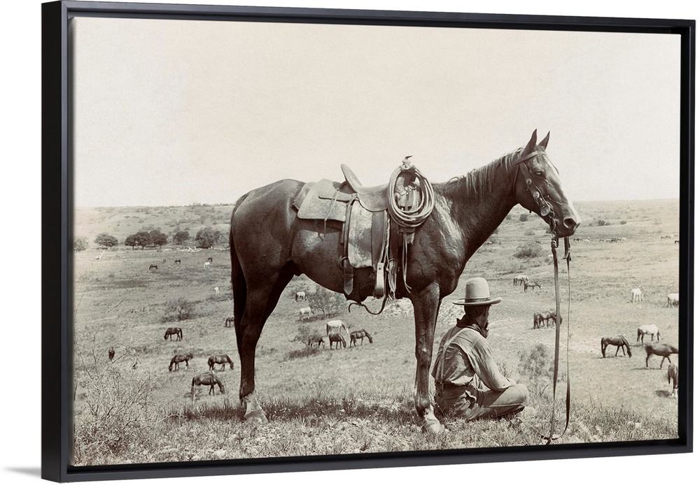 Texas, Cowboy, C1910. A Horse Wrangler Seated Next To His Horse On A Hill And Looking Down At Other Horses Grazing In A Fi...