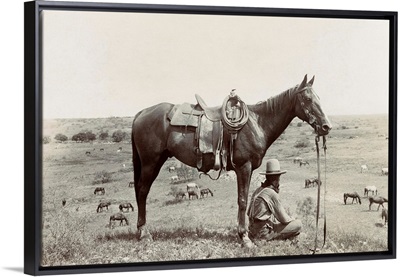 Texas, Cowboy, c1910