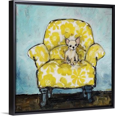 Chihuahua on Yellow Chair