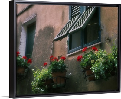 Flowers decorate the wall beneath an open window in Italy