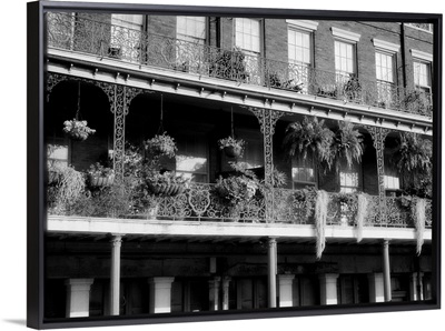 French Balconies, New Orleans, Louisiana