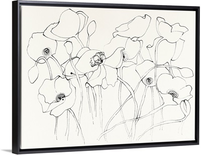 Black Line Poppies III