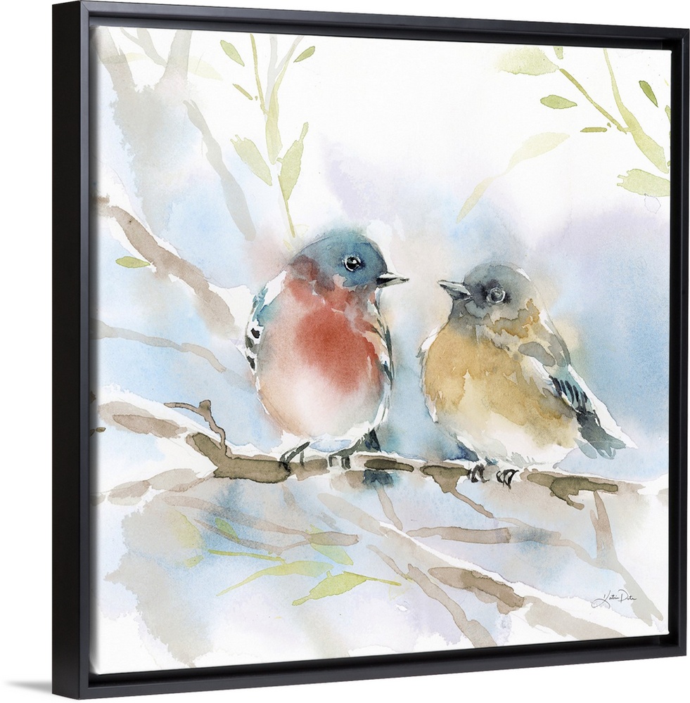 Bluebird Pair In Spring