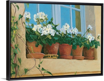 Chateau Creancey Window