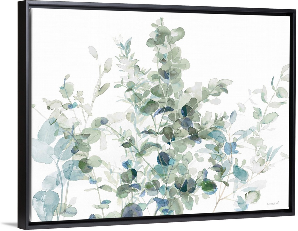 Eucalyptus I Cool