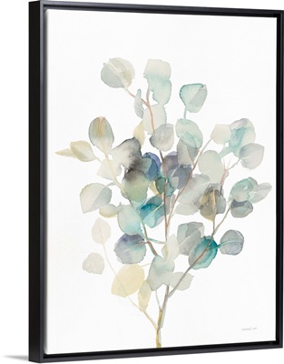 Eucalyptus III White