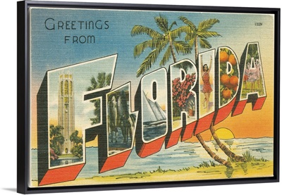 Greetings from Florida v2