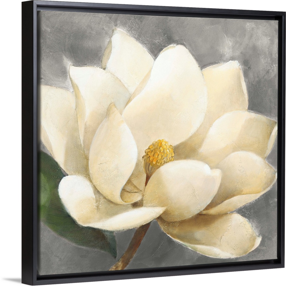 Contemporary painting of a beautiful magnolia flower on a gray, square background.