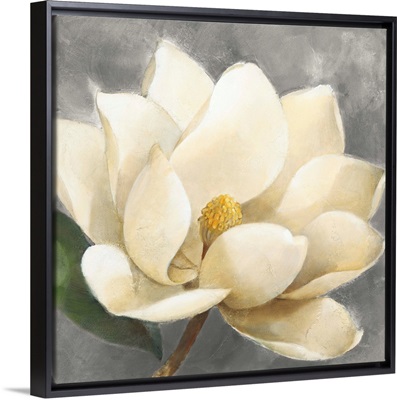 Magnolia Blossom on Gray