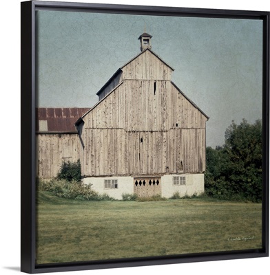 Neutral Country IV Crop