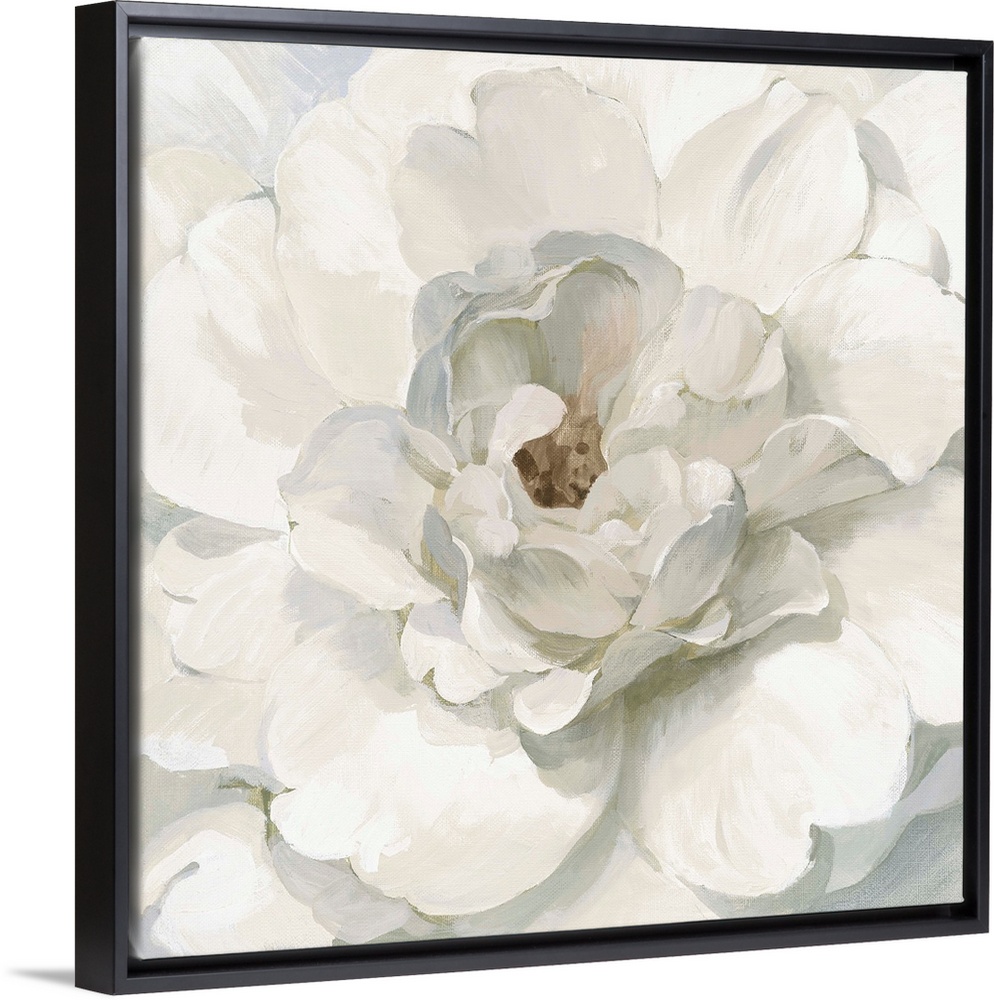 Neutral Peony