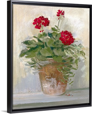 Potted Geraniums II