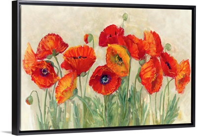 Vibrant Poppies