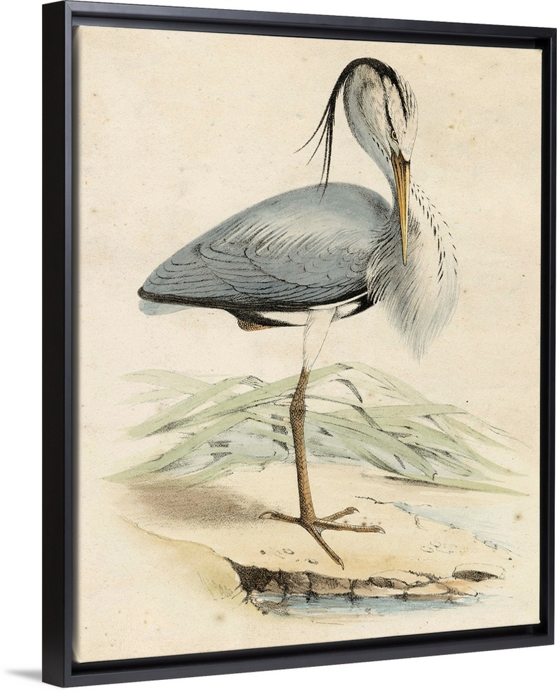 Antique Heron IV