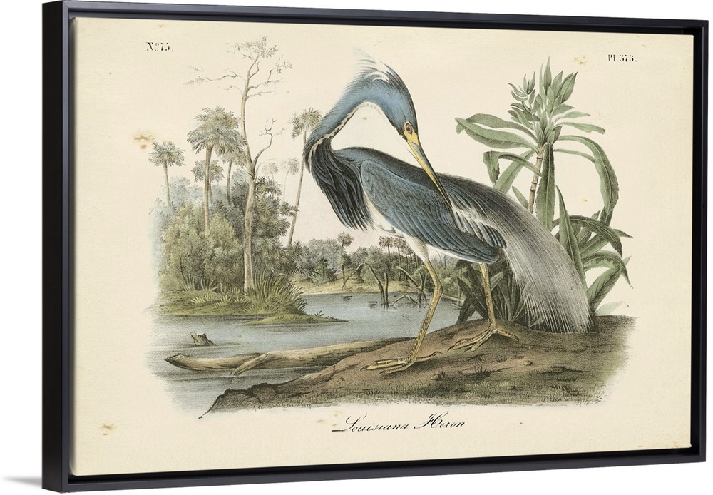 Contemporary artwork of a vintage stylized bird illustration.