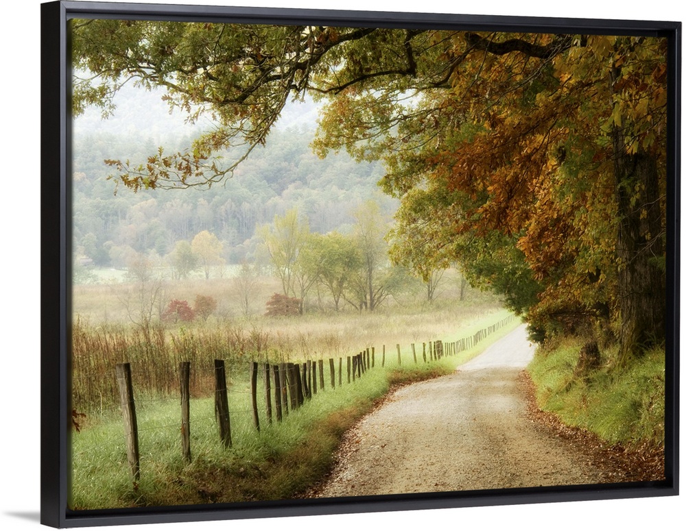 Autumn on a Country Road