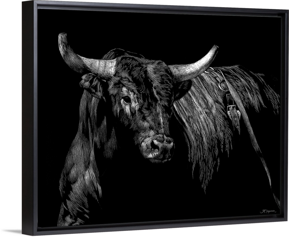 Horizontal artwork on a big wall hanging of a sketched brindle rodeo bull, looking forward, on a solid black background.