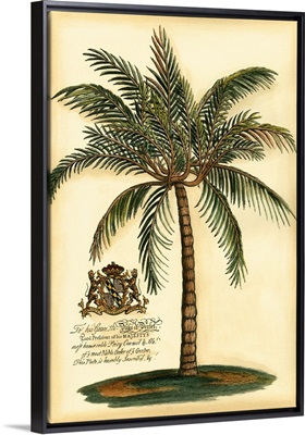British Colonial Palm III
