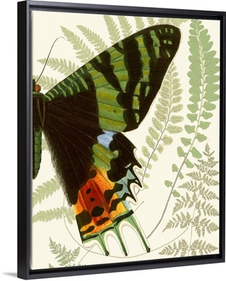 Butterfly Symmetry II