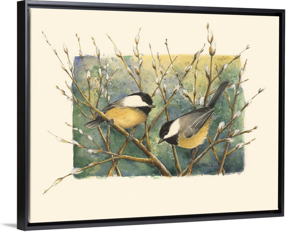 Chickadees and Pussy Willow