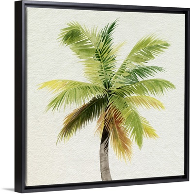 Coco Watercolor Palm II