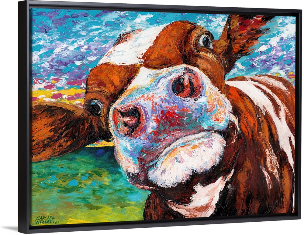 A whimsical close up portrait of a brown and white cow sticking it's nose right up against the viewer. Animal lovers and f...