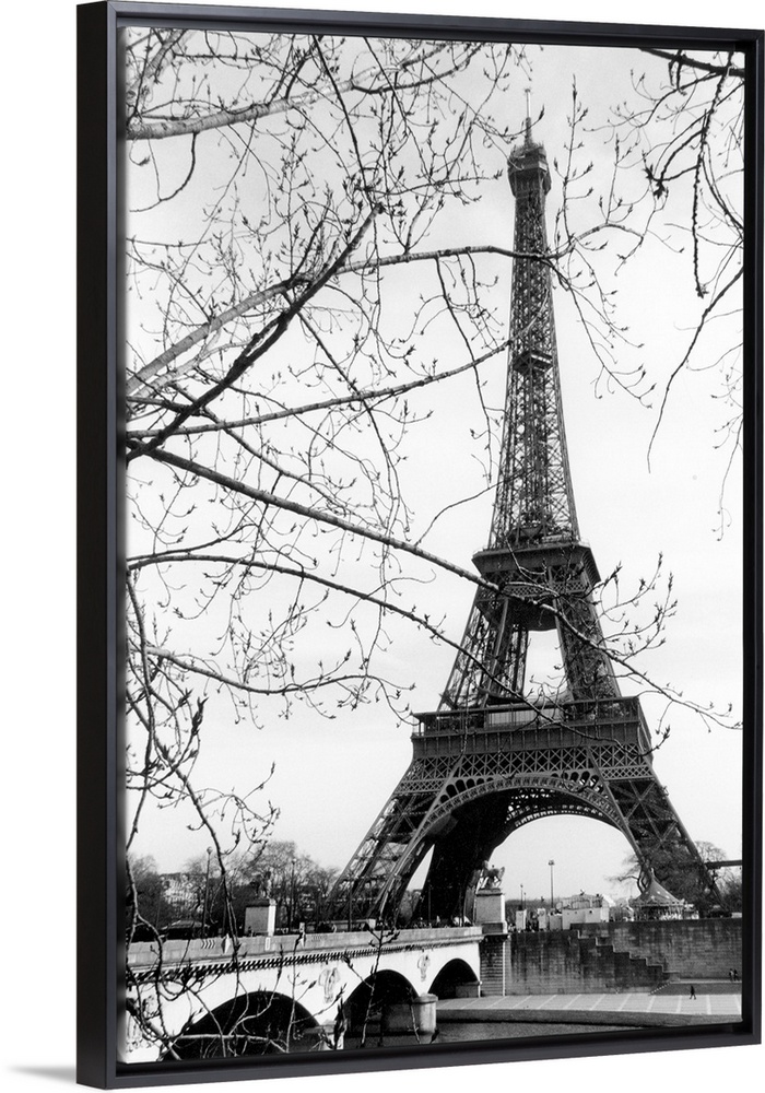 View of the Eiffel Tower through the budding tree branches at the base of the Seine River.