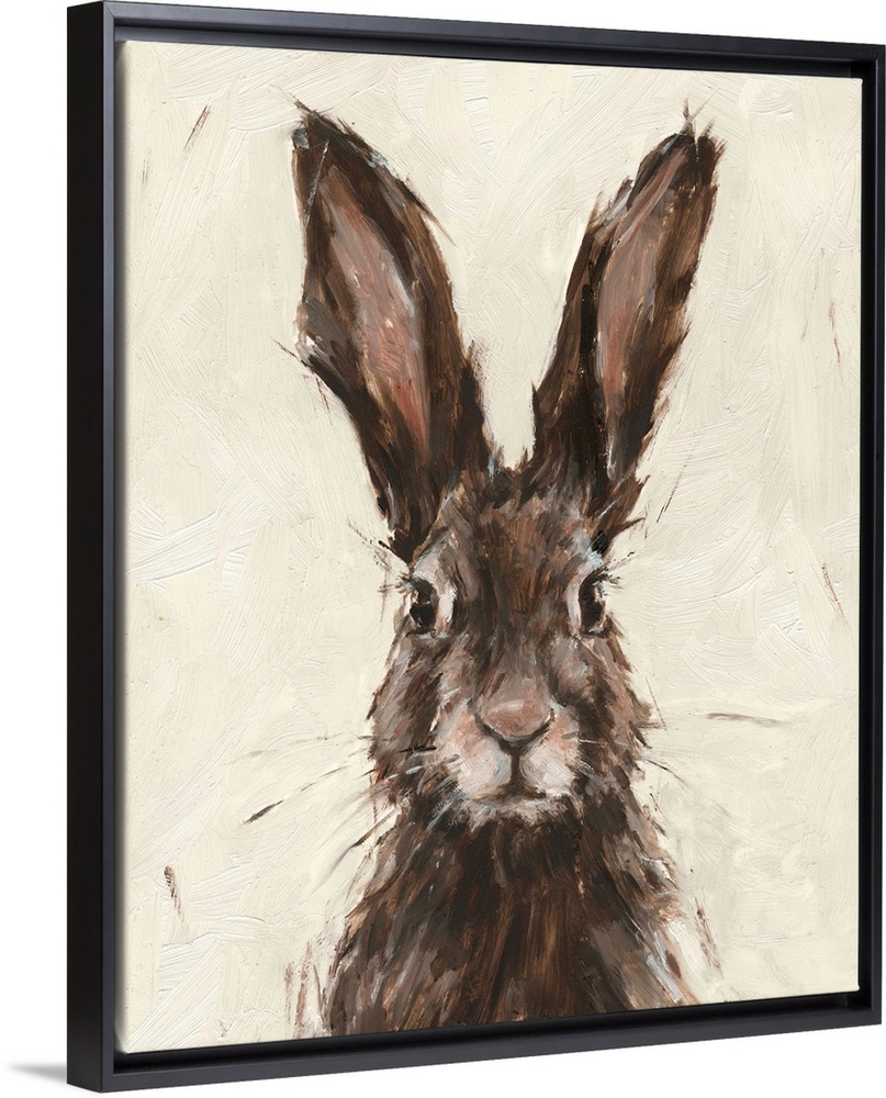 European Hare I