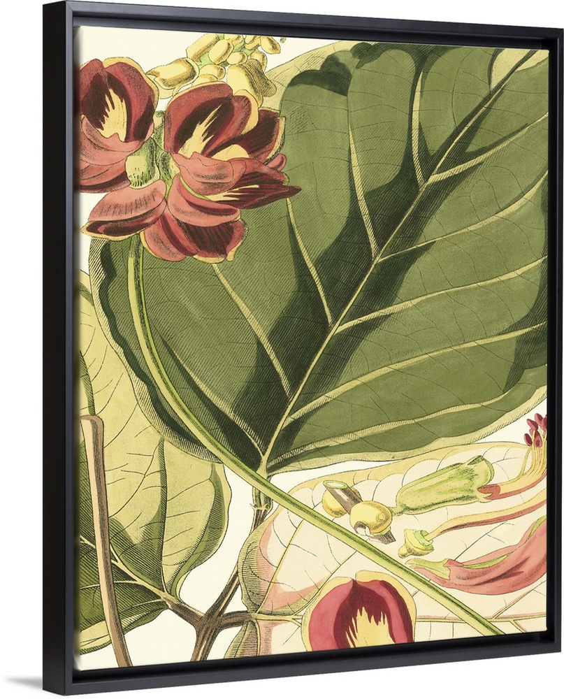 Vintage stylized botanical illustration.