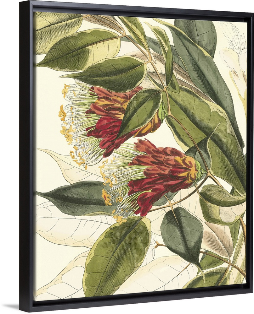 Vintage stylized botanical illustration.