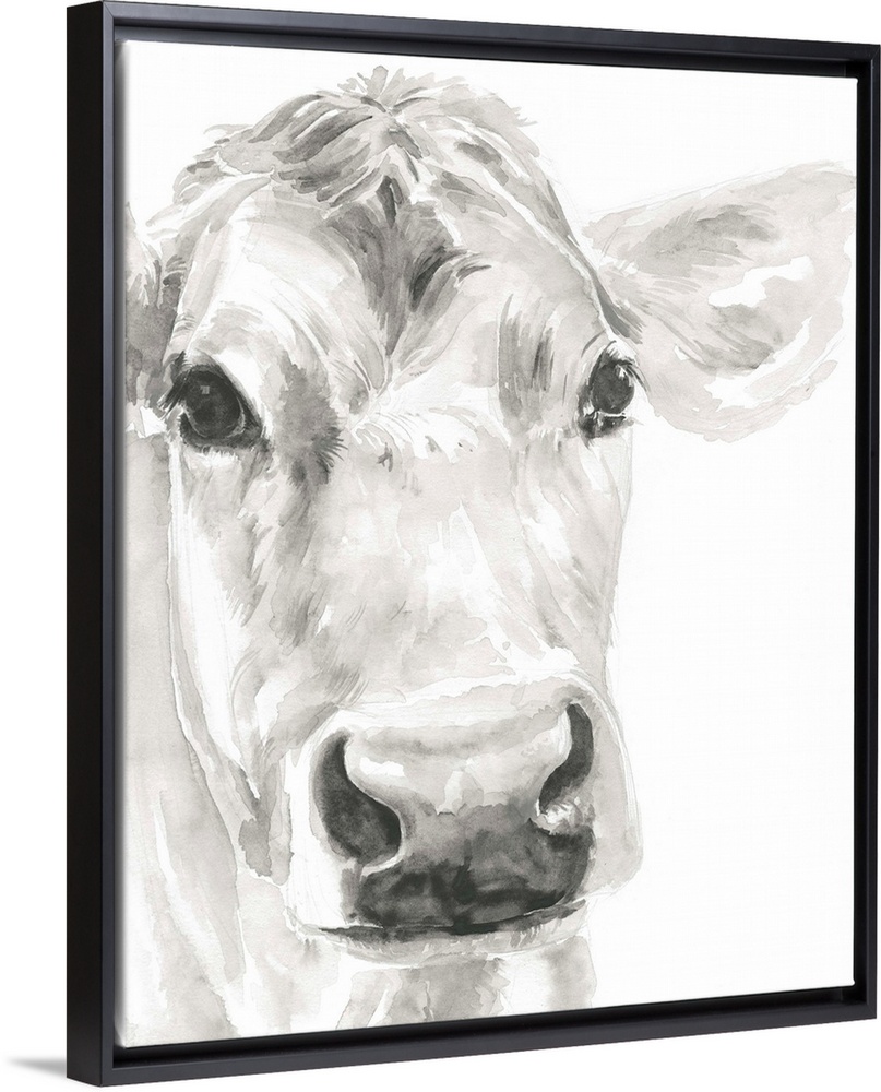 Watercolor portrait of a cow in gray.