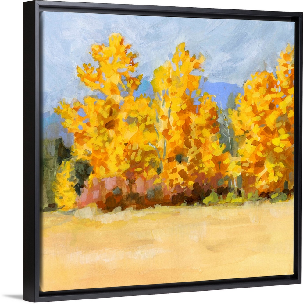 Golden Aspen Trees I