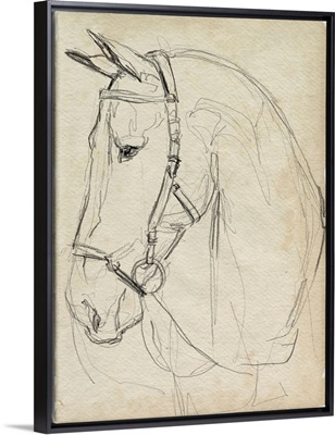 Horse In Bridle Sketch II