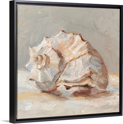 Impressionist Shell Study II