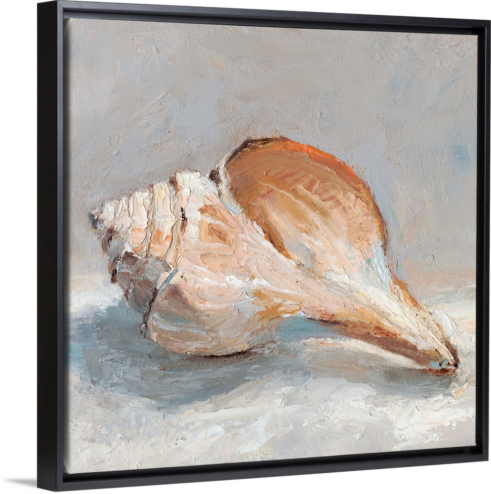 Impressionist Shell Study III