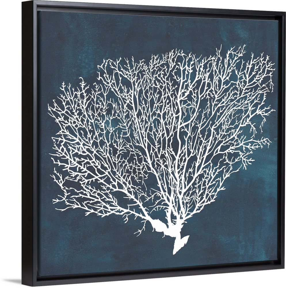 Contemporary nautical themed artwork of a sea fan in white against a dark navy blue background.